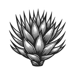 agave plant with sharp, pointed leaves, suitable for botanical studies black and white vintage illustration. Sketch engraving generative ai raster illustration. Scratch board imitation. 