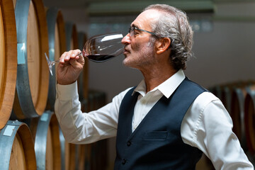 Professional Senior man sommelier tasting and sniffing red wine in wine glass at wine cellar with...