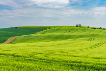 Green farmlands on small hill with blue sky with clouds