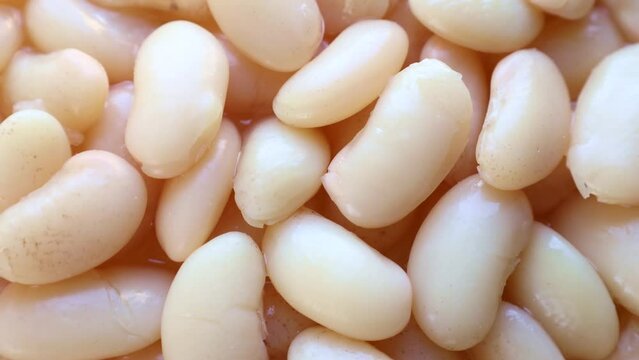 White boiled cooked Great Northern Beans circle rotation close up