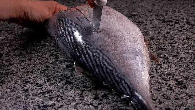 Chef's hands are cutting and peeling a raw tuna fish on a grey stone table slow motion. High quality 4k footage