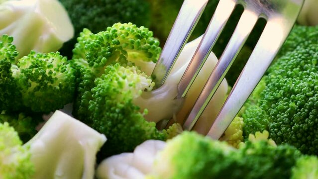 Eating fresh boiled green broccoli slices with a fork close up