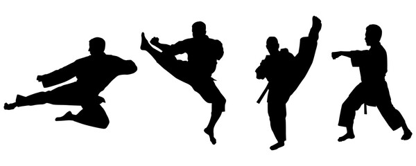 Set of Sport Men, Karate, Martial Arts, Athletic, Collection, Silhouette, Kata, Power, Training, Combat, Isolated - obrazy, fototapety, plakaty
