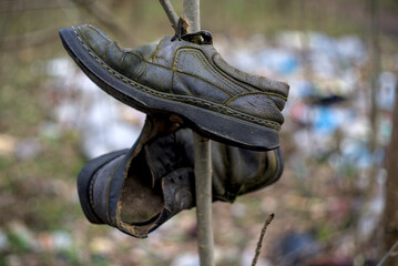 A pair of shoes hanging on a tree