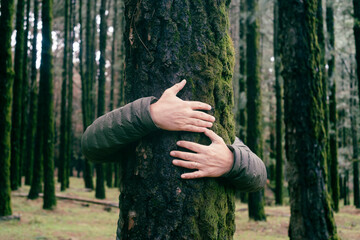 Nature lover hugging trunk tree with green musk in tropical woods forest. Green natural background....