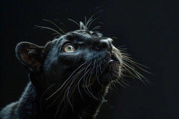 Majestic black panther portrait with deep gaze, perfect for wildlife themes, nature campaigns, or high-contrast art in ads with space for text.
