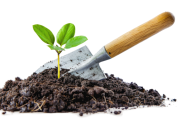 Shovel Digging in Dirt With Plant Growing. On a Clear PNG or White Background.