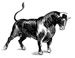 Strong black bull. Pair of socks. Hand drawn retro styled black and white illustration - 767004132