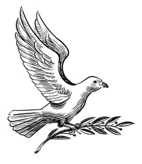 Flying dove of peace with olive branch. Pair of socks. Hand drawn retro styled black and white illustration - 767004196