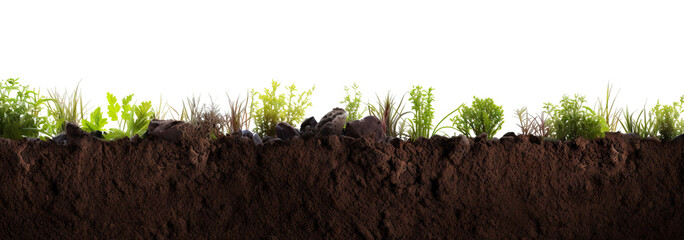 Fototapeta premium Black soil cut out