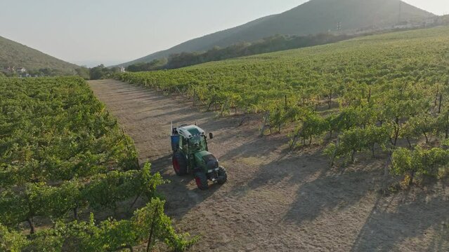Aractor is carrying a full trailer of grapes harvested from the fields for further processing into wine. Aerial