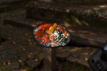 Autumn Leaves Reflection 