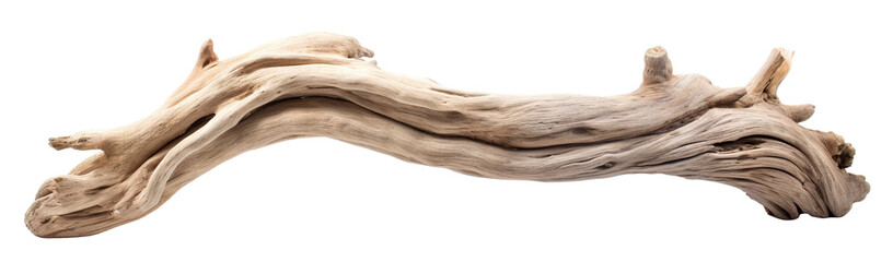 Fototapeta premium Driftwood cut out