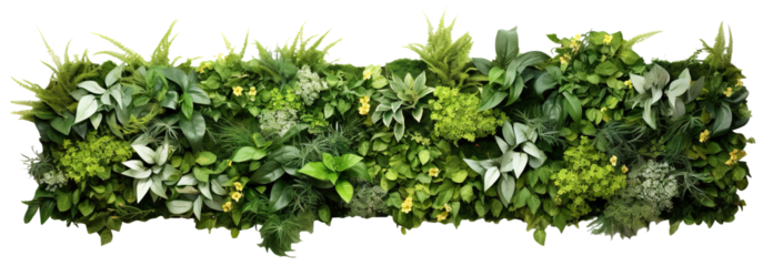 Green garden wall from tropical plants and flowers, cut out