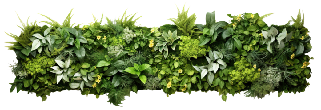 Green garden wall from tropical plants and flowers, cut out