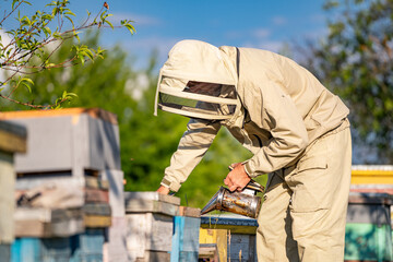 Beekeeper is working with bees and beehives on the apiary.