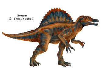 Spinosaurus illustration. Dinosaur with crest on back. Red, brown, blue dino