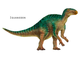 Iguanodon illustration. herbivorous dinosaur. Green dino art