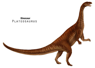 Plateosaurus illustration. Dinosaur with long neck and tail. Red dino art