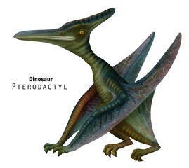 pterodactyl illustration. Sitting dinosaur with its wings folded. Green dino