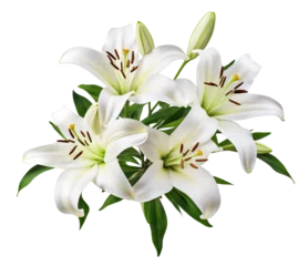 Poster Elegant blooming lilies with buds, cut out © Yeti Studio