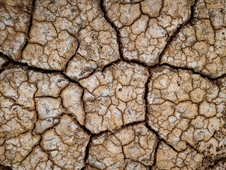dry soil salt stains