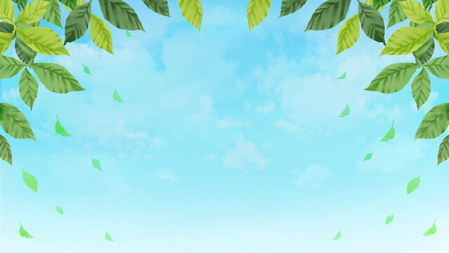 葉と青空のフレーム背景　水彩画　素材　枠　新緑　葉っぱ　落ち葉　景色　シンプル　イメージ　さわやか　初夏　夏　16:9