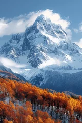  a snowy mountain with orange trees © ion