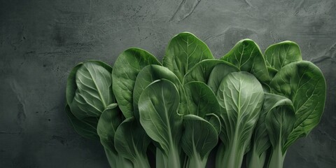 Fresh Organic Spinach on Textured Background
