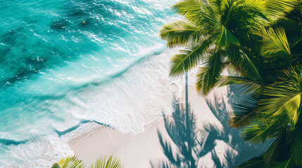 Aesthetic aerial view of white sand coast, light blue ocean and shadows from palm leaves. Luxury...