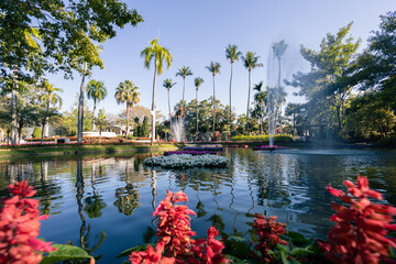Landscape in the park, pond, and reflection in the pond, shady trees, bright flower garden Coconut...