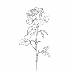One-Line Drawing of a Rose, Elegant Minimalist Floral Art, Black and White