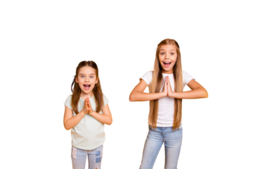 Portrait of two nice trendy winsome sweet attractive lovely pretty cheerful cheery positive straight-haired girls folded hands asking up isolated over bright vivid shine yellow background