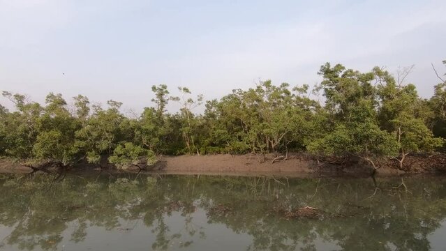 The beautiful landscape of Sundarbans national park