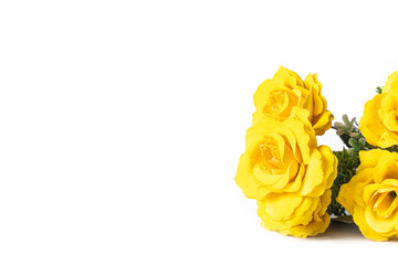 Yellow roses isolated on white background with copy space for your text.