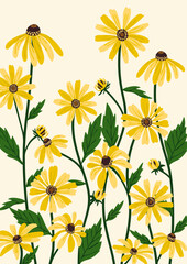 Black-eyed Susan flower background.Eps 10 vector.