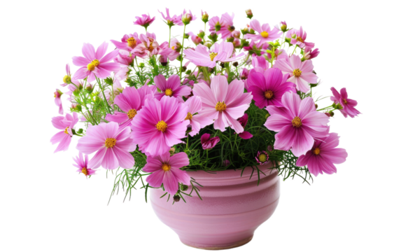 Celestial Blossom Vase isolated on transparent Background