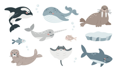 Set of cute arctic sea animals in flat cartoon style. Wild polar marine mammals and fish. Design elements for printing, poster, card. Vector illustration