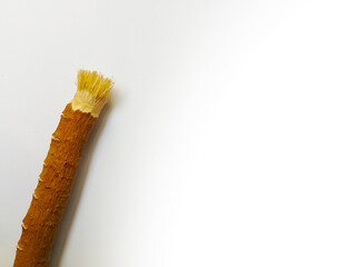 Miswak on White Background - Toothbrush in Islam