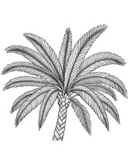 Tropical Palm Tree Coloring Page