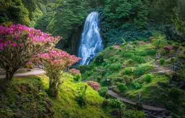 Selbstklebende Fototapeten Discover the enchanting Ribeira dos Caldeiroes Park in Sao Miguel, a serene Azorean haven featuring lush landscapes and cascading waterfalls. © Balate Dorin