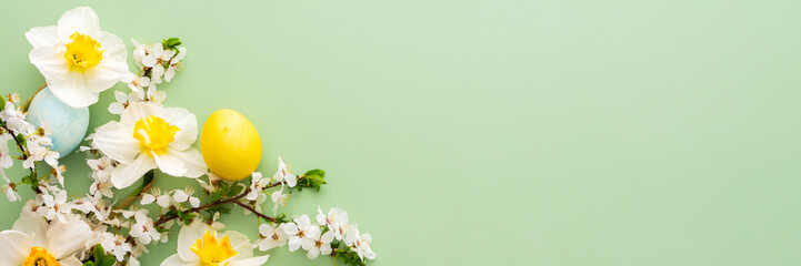 Festive banner with spring flowers and Easter eggs, white daffodils and cherry blossom branches on a green pastel background