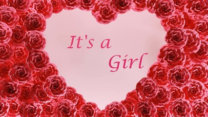 Gender reveal girl concept animation video with pink blooming roses heart frame 4k loop animation.