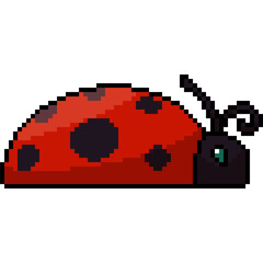 pixel art of insect ladybug side - 767056114