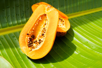 Summer tropical fruits of papaya over green leaf
