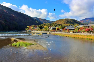 Gordijnen Travel trip to Arashiyama Kyoto Japan © Tsuyu