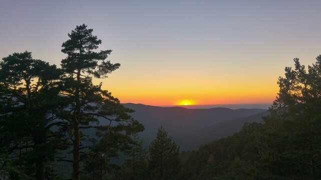 sunset between pine trees Puerto Navacerrada Segovia Sierra Madrid