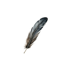 grey feather isolated on transparent background cutout generative ai - 767069521