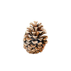 Watercolor Pine Cone generative ai - 767069596