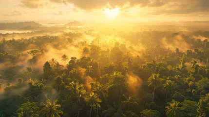 Poster Panoramic aerial view of a jungle landscape at sunrise © standret